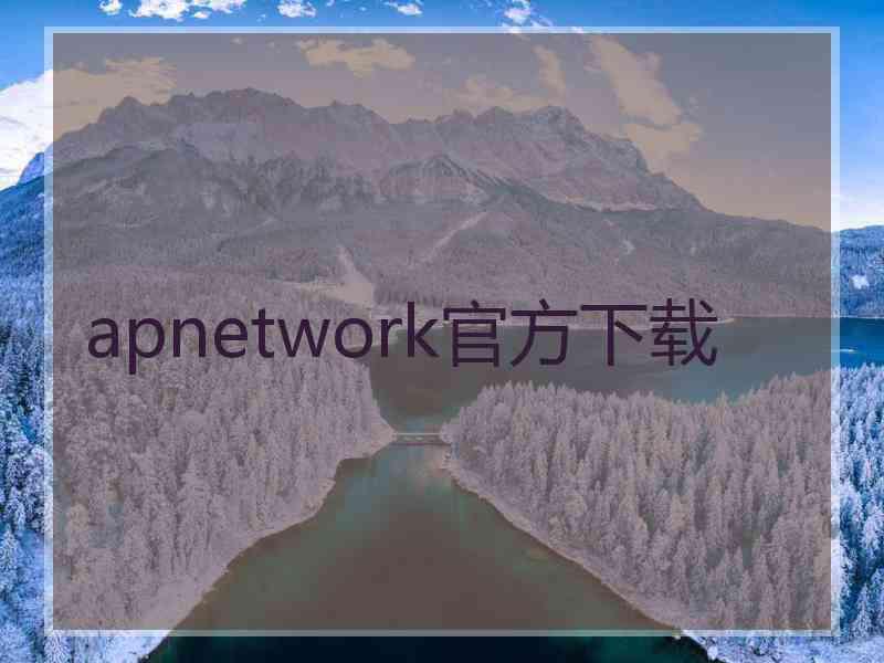 apnetwork官方下载