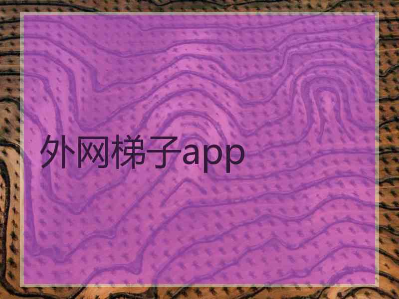 外网梯子app