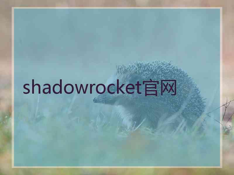 shadowrocket官网