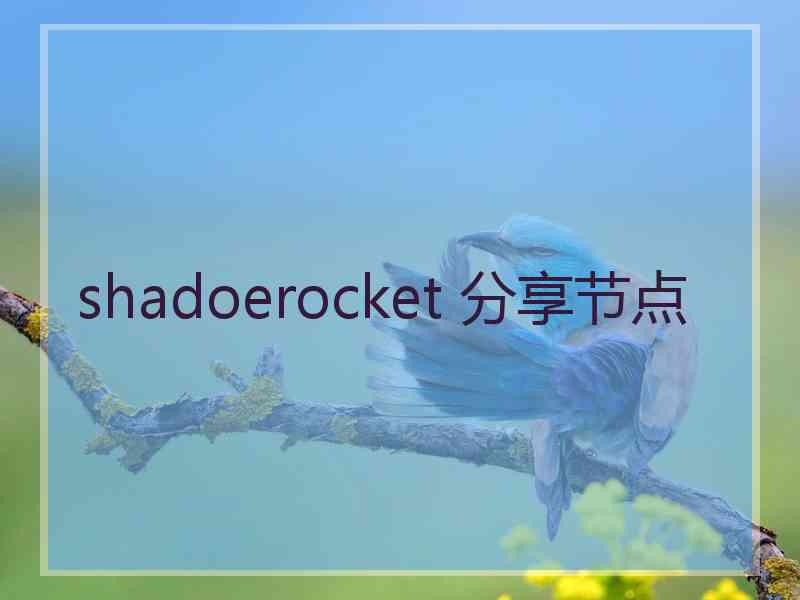 shadoerocket 分享节点