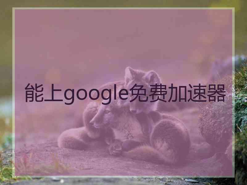 能上google免费加速器