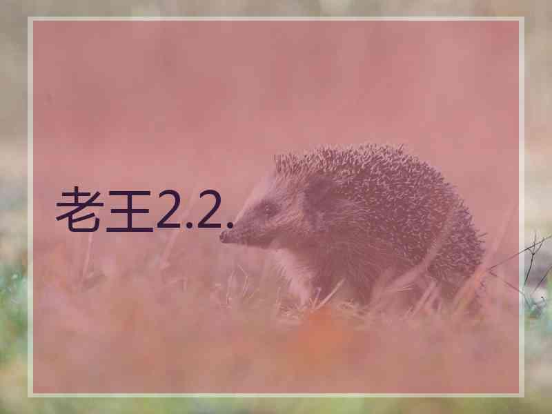 老王2.2.