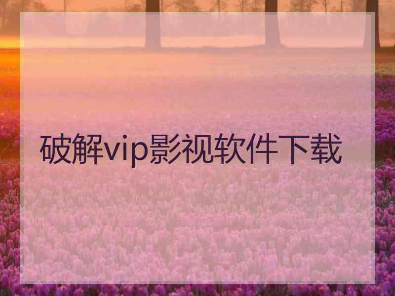 破解vip影视软件下载