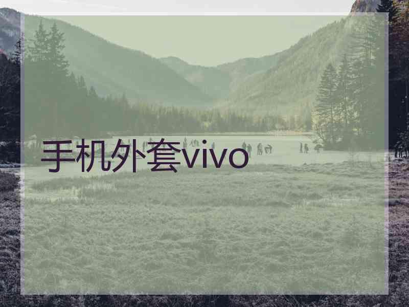 手机外套vivo