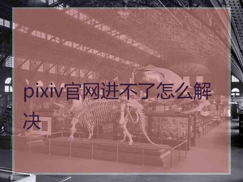 pixiv官网进不了怎么解决