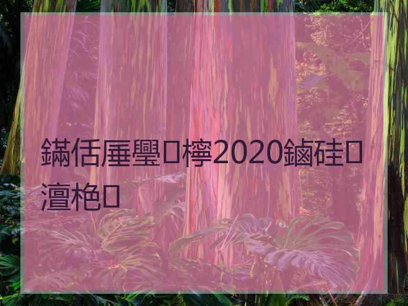 鏋佸厜璺檸2020鏀硅澶栬