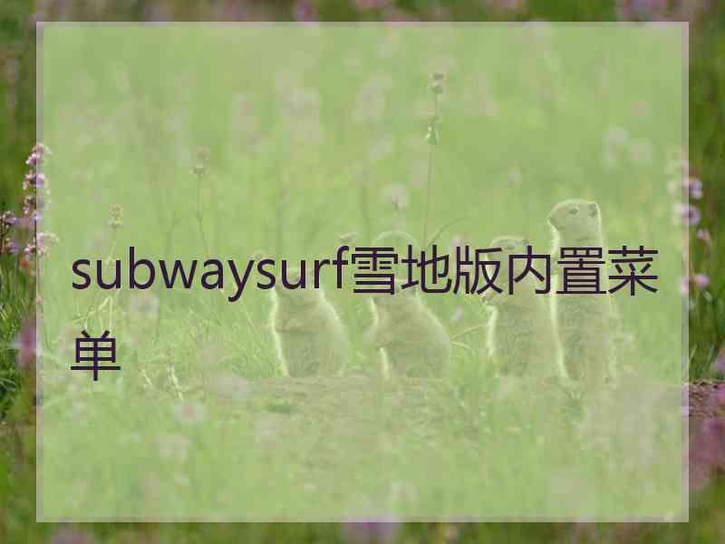 subwaysurf雪地版内置菜单