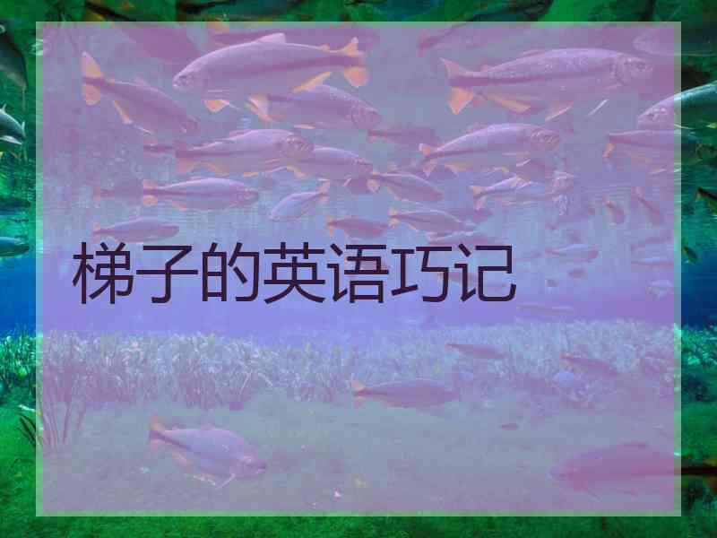 梯子的英语巧记