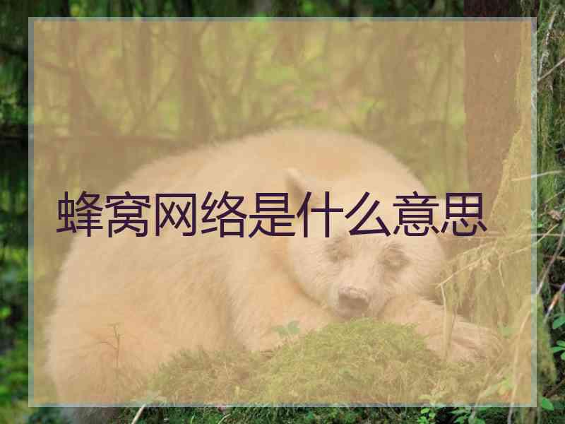 蜂窝网络是什么意思