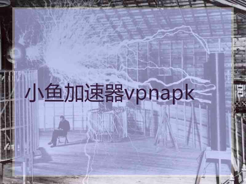 小鱼加速器vpnapk