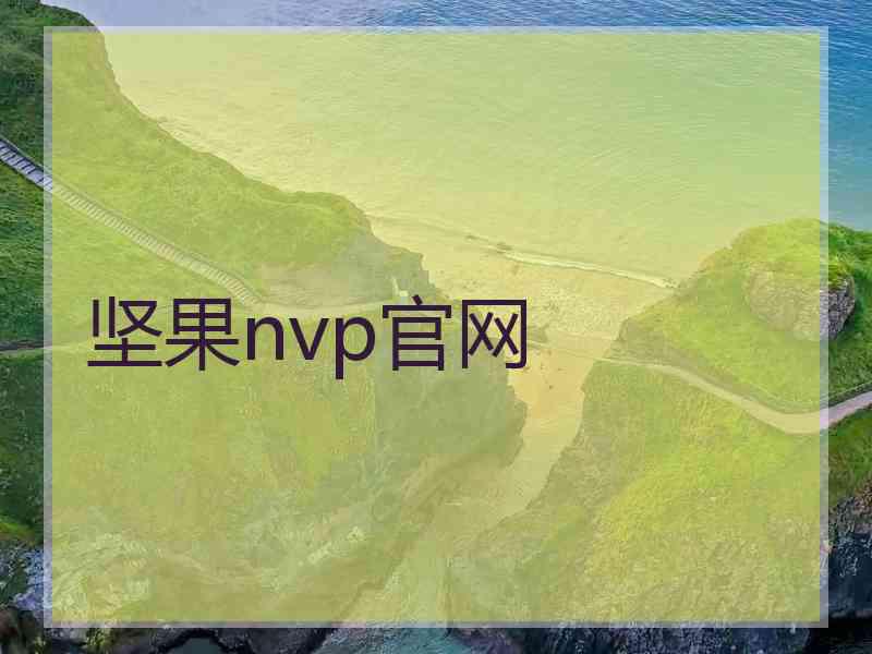 坚果nvp官网