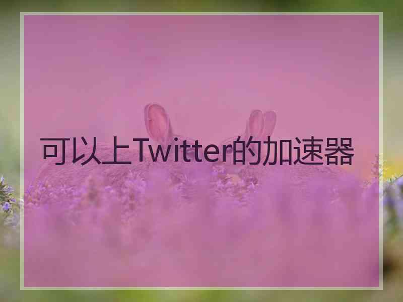 可以上Twitter的加速器