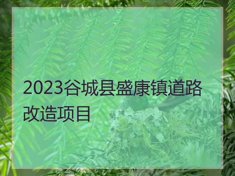 2023谷城县盛康镇道路改造项目