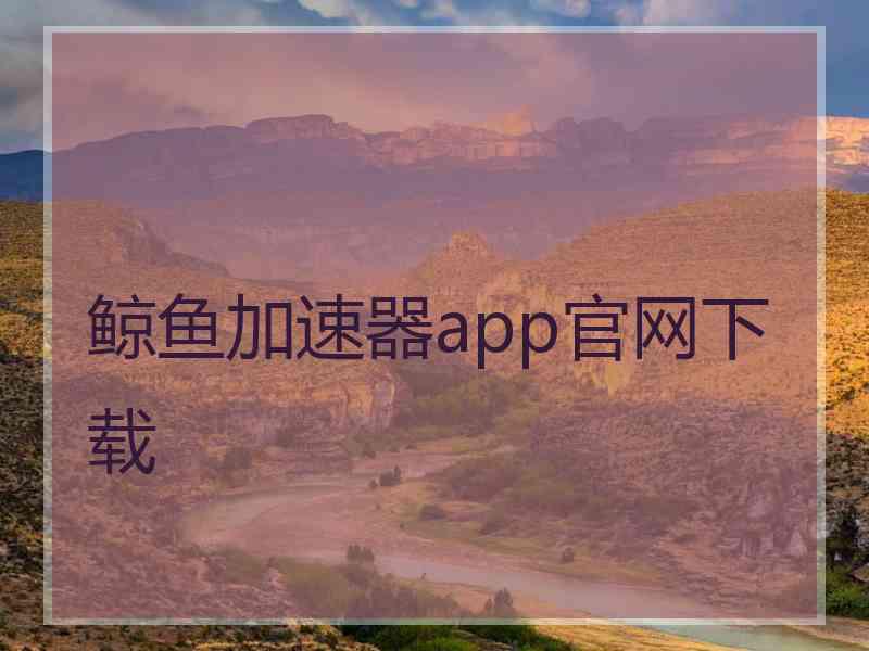 鲸鱼加速器app官网下载