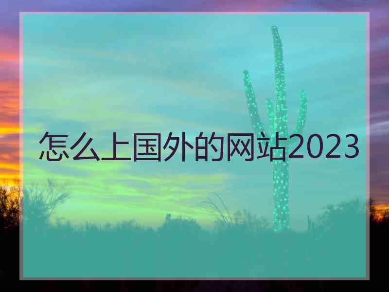 怎么上国外的网站2023