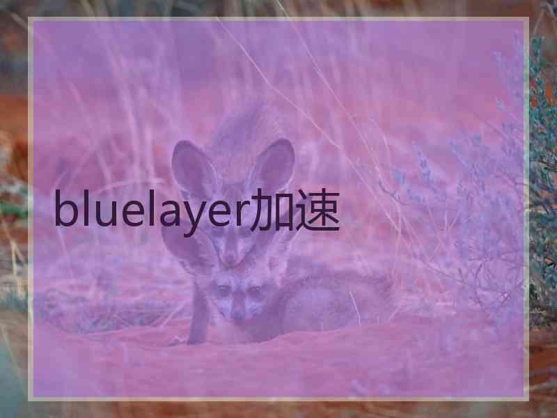 bluelayer加速