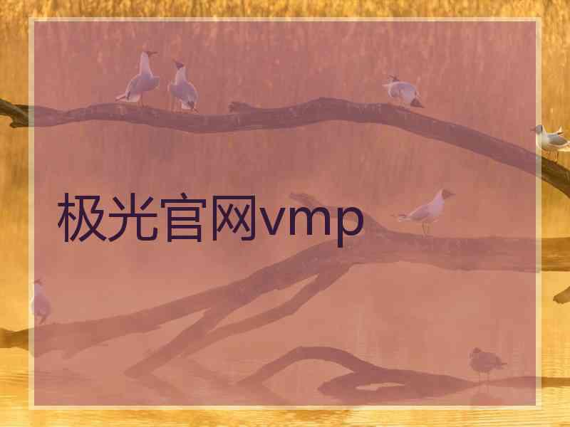 极光官网vmp