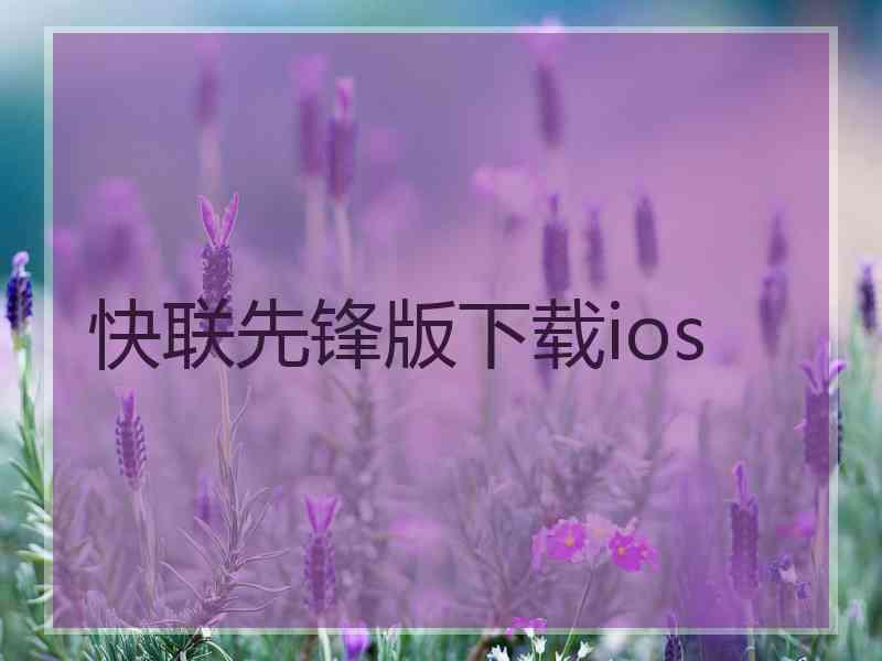 快联先锋版下载ios