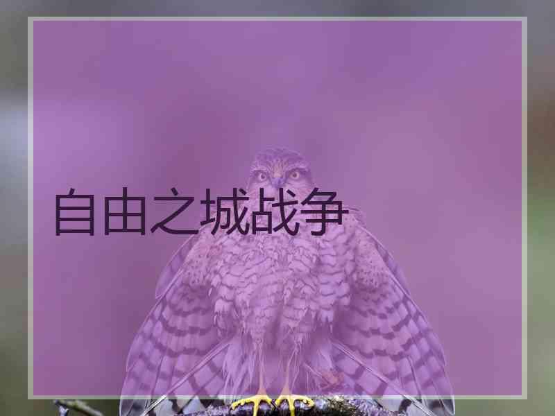 自由之城战争