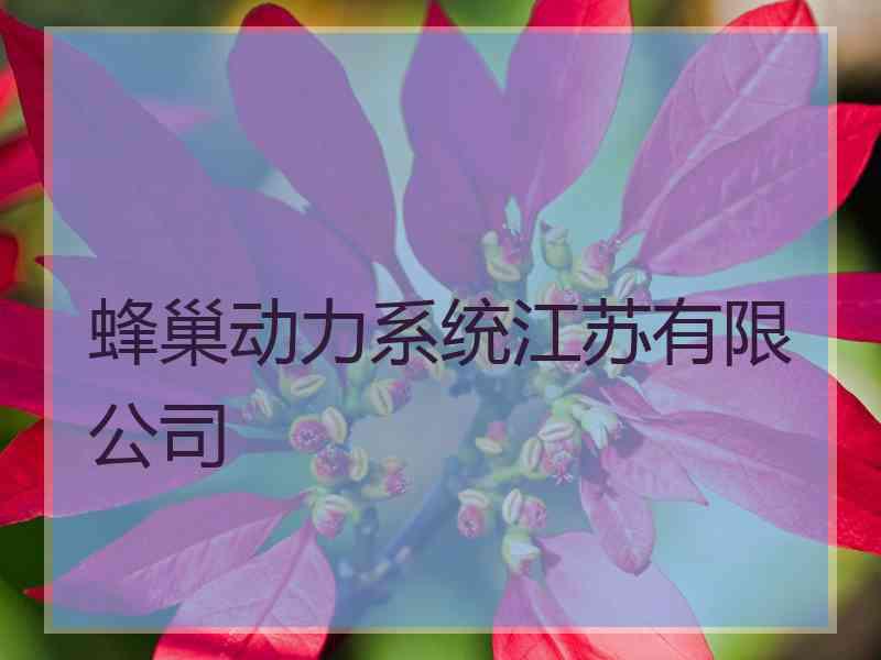 蜂巢动力系统江苏有限公司