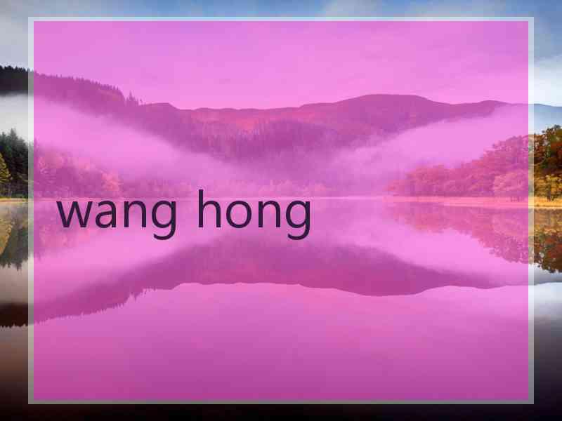 wang hong