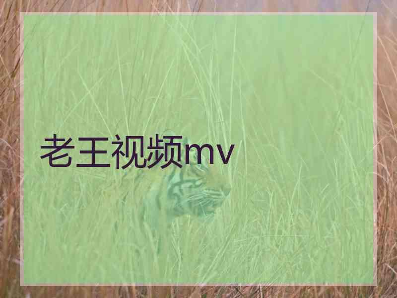 老王视频mv