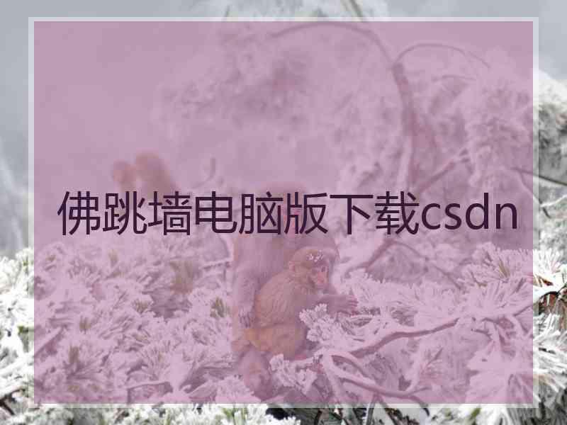 佛跳墙电脑版下载csdn