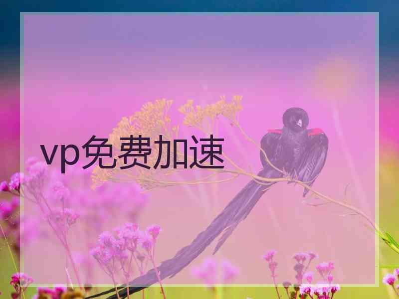 vp免费加速