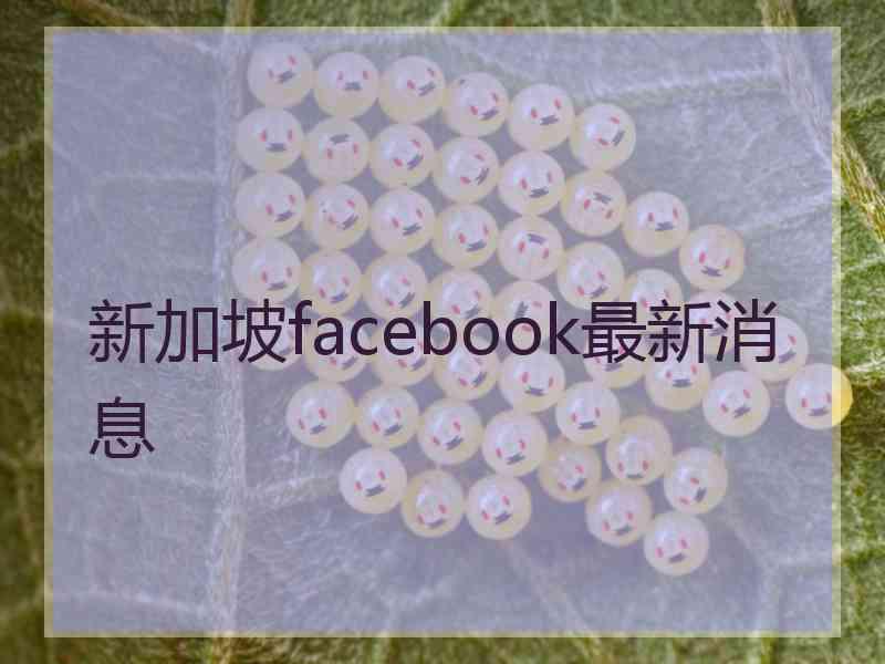 新加坡facebook最新消息