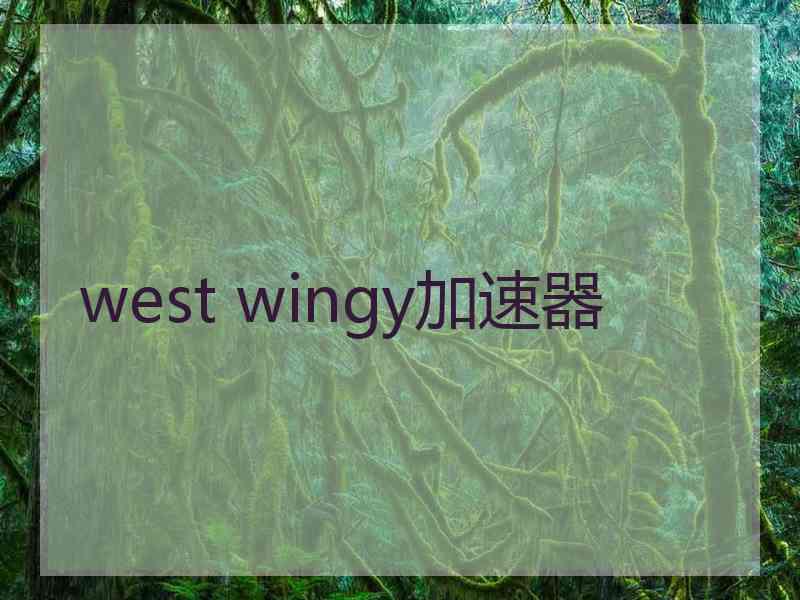 west wingy加速器