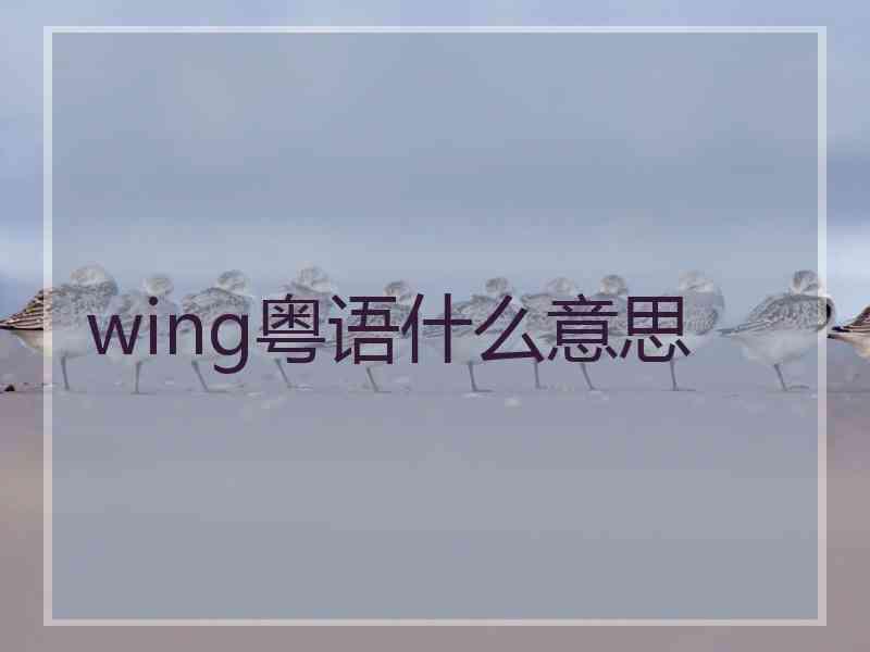 wing粤语什么意思