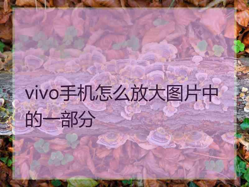 vivo手机怎么放大图片中的一部分