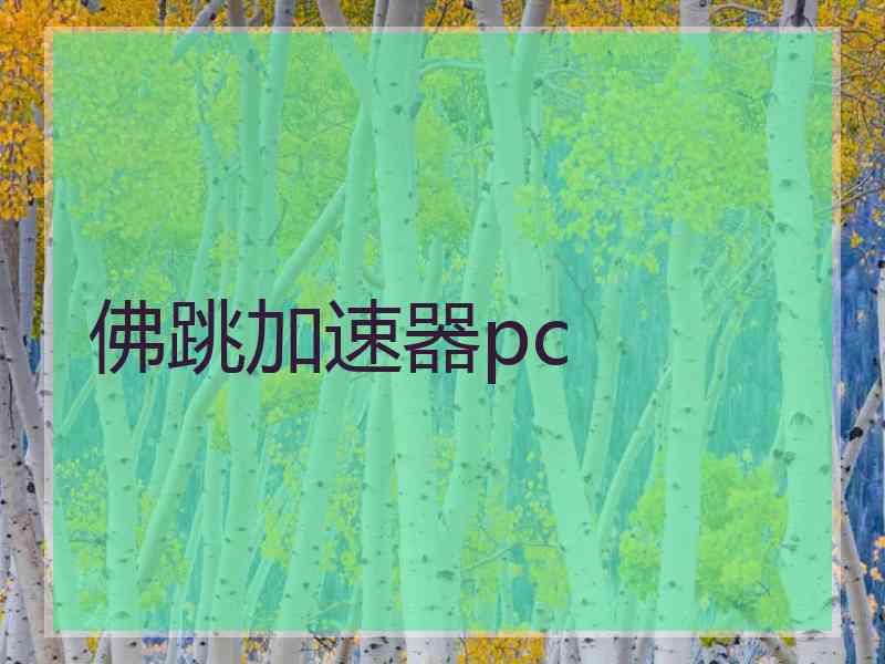 佛跳加速器pc