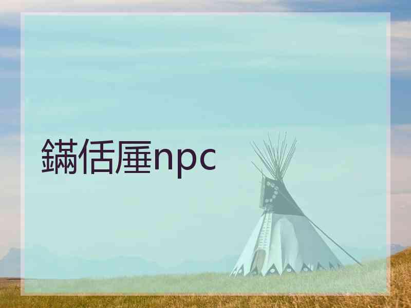 鏋佸厜npc