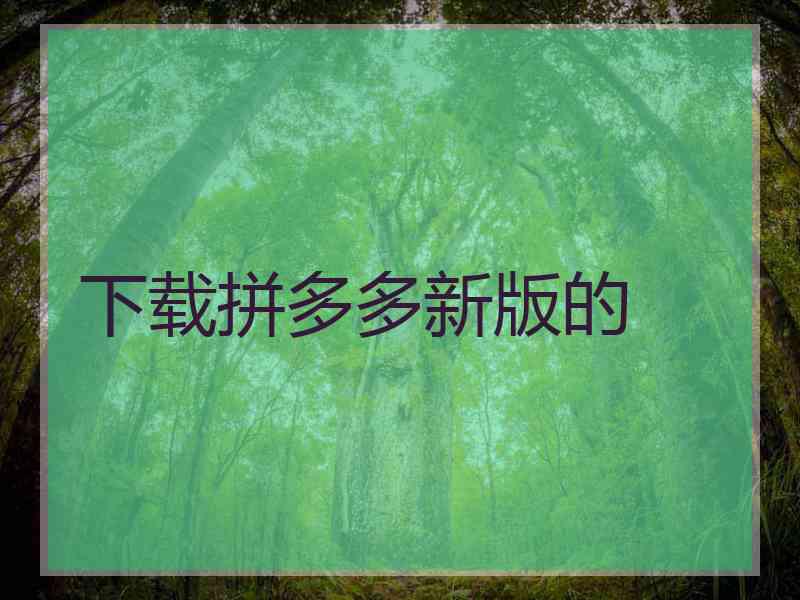 下载拼多多新版的