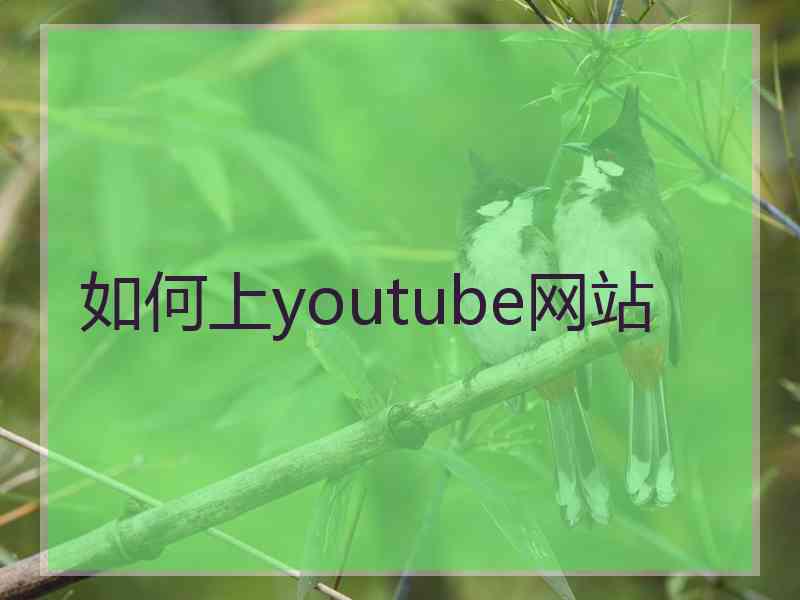 如何上youtube网站