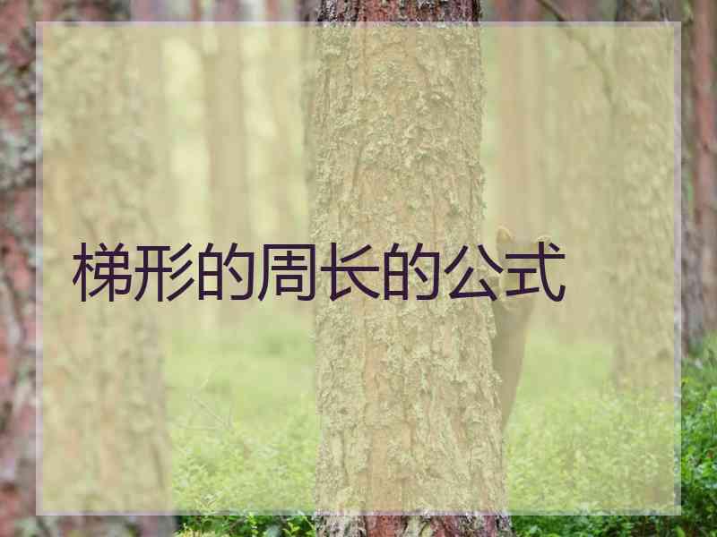 梯形的周长的公式