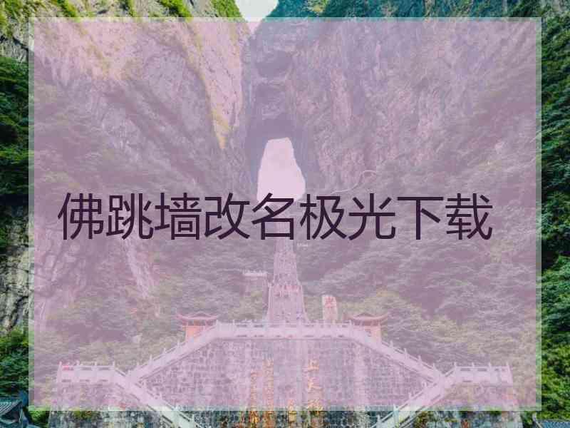 佛跳墙改名极光下载