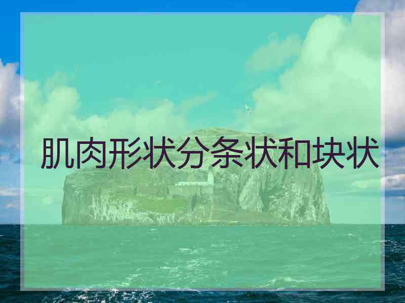 肌肉形状分条状和块状