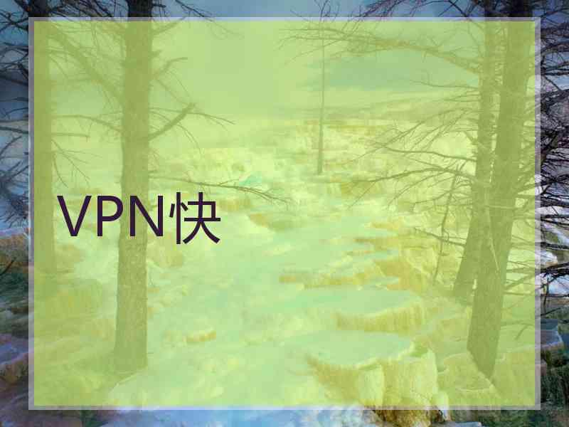 VPN快