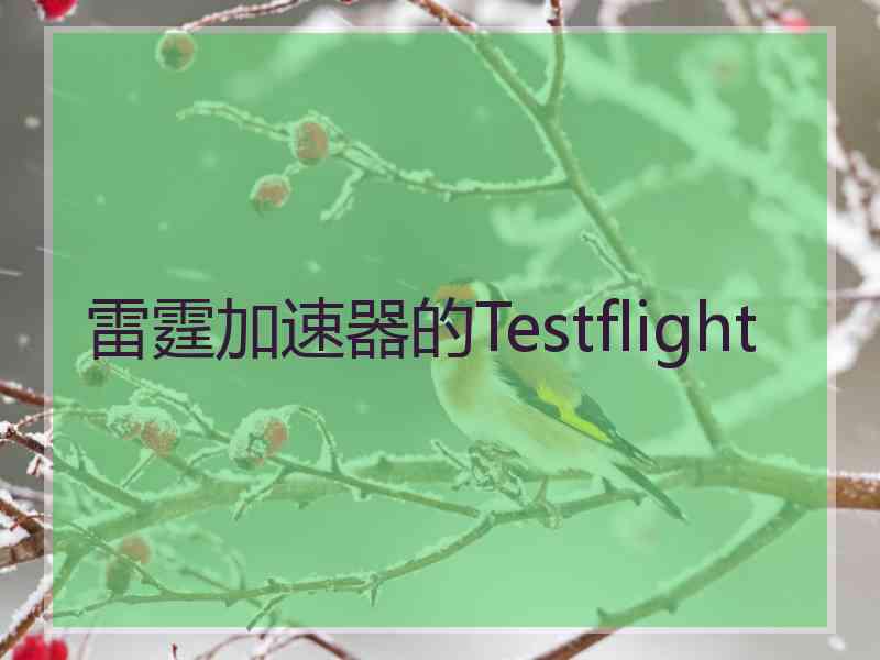 雷霆加速器的Testflight