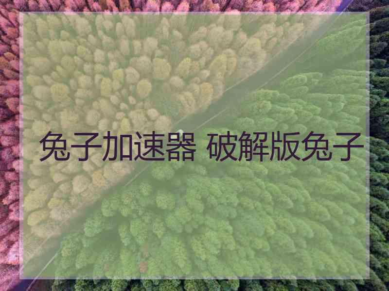 兔子加速器 破解版兔子