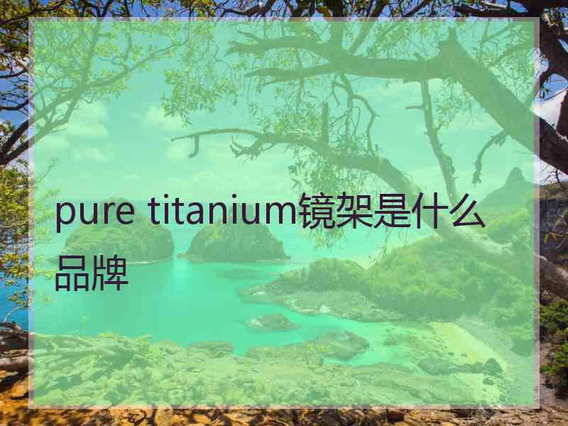 pure titanium镜架是什么品牌