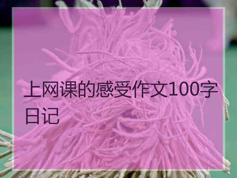 上网课的感受作文100字日记