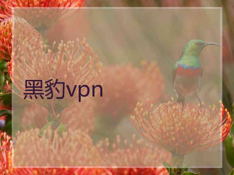 黑豹vpn