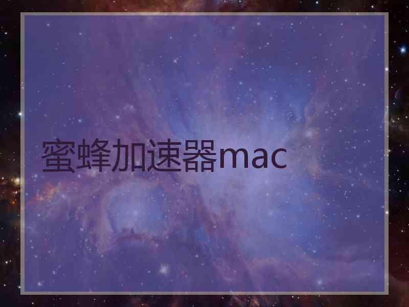 蜜蜂加速器mac