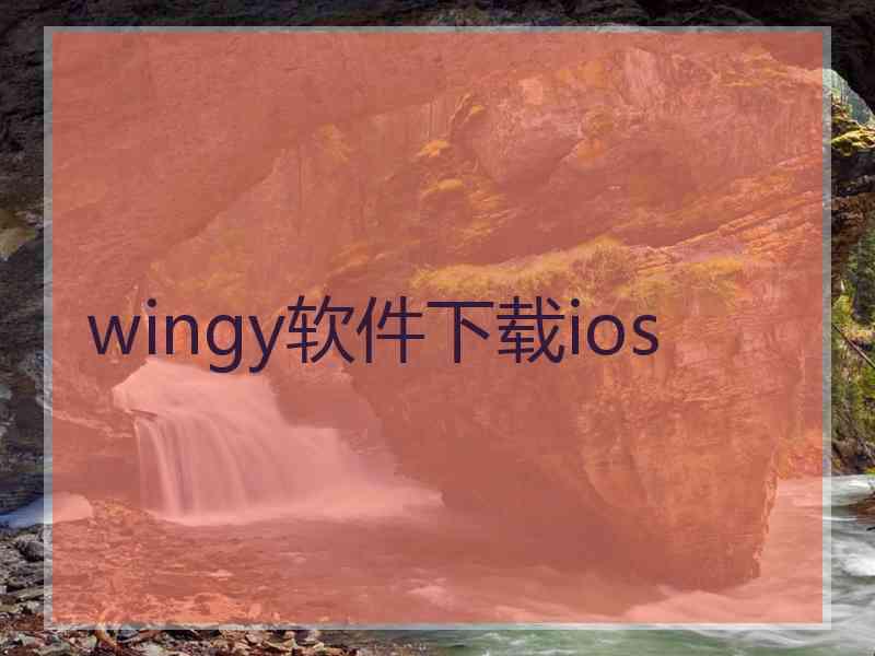 wingy软件下载ios