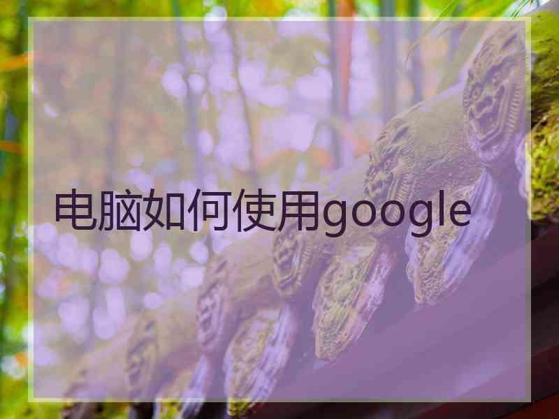 电脑如何使用google