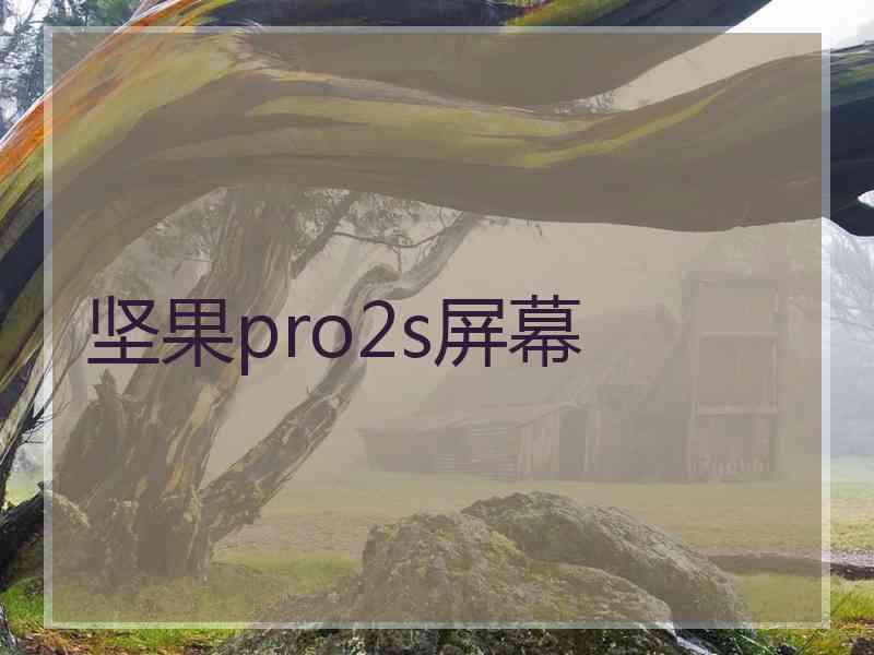 坚果pro2s屏幕