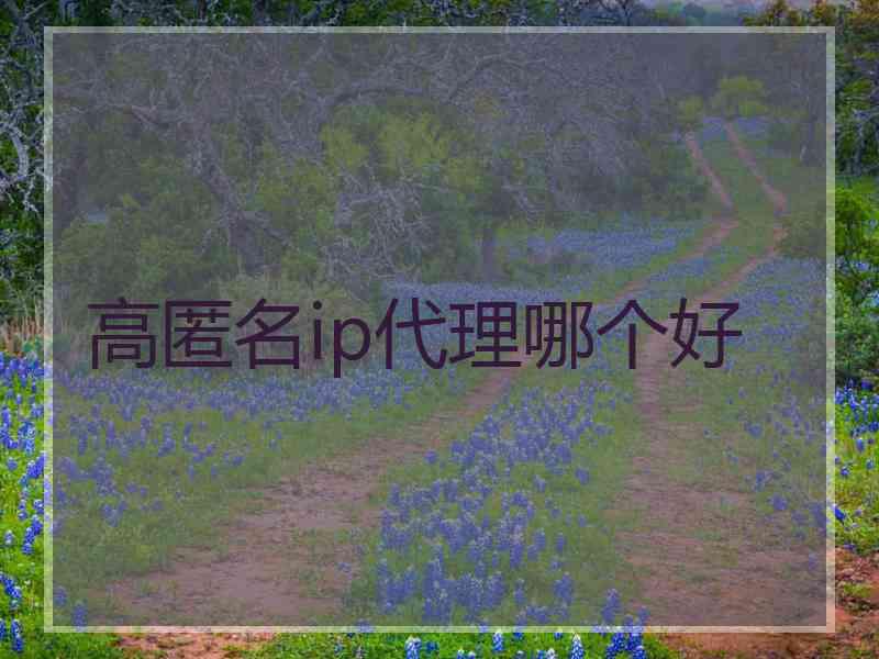 高匿名ip代理哪个好